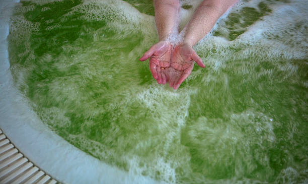 What to Do If Your Hot Tub Water is Cloudy, Foamy, or Green?