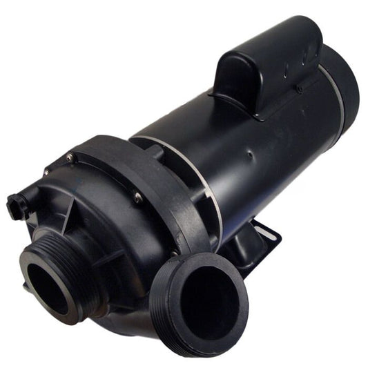 THERAMAX-2B Sundance® Pump Sundance TheraMax 48FR 230V 2SP 2.5HP