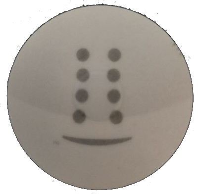 65-1137 Bullfrog ® Topside Control, Overlay, Aux