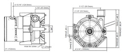 Circulation Pump 73989 | 115V Circulation Pump | Spa Parts Experts